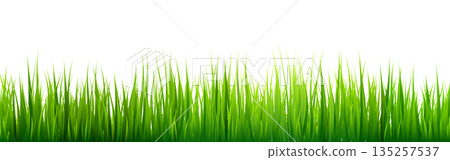 Meadow silhouette with green grass, plants on plain. Panoramic summer lawn landscape with herbs, various weeds. Herbal border, frame element. Black horizontal banners. Vector illustration Meadow silhouette with green grass, plants on plain. Panoramic summer lawn landscape with herbs, various weeds. Herbal border, frame element. Black horizontal banners. Vector illustration 135257537