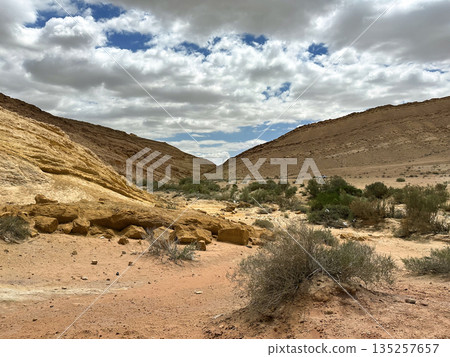 Kholot Tsivoniyim - mountains and dunes of multi-colored sand Kholot Tsivoniyim - mountains and dunes of multi-colored sand 135257657