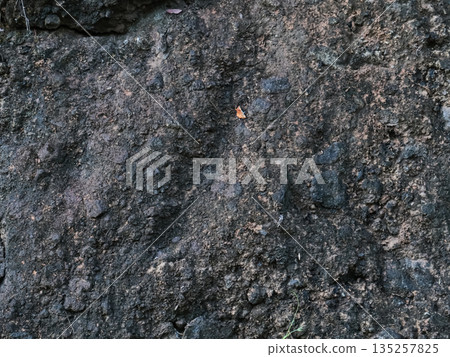 Dark Volcanic Rock Texture Displaying Fine Grains and Natural Patterns with Copy Space for Geological Studies Dark Volcanic Rock Texture Displaying Fine Grains and Natural Patterns with Copy Space for Geological Studies 135257825