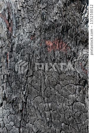 Charred Wood Texture Close-Up with Cracks and Grain for Backgrounds and Overlay Effects in Graphic Design Projects 135258012