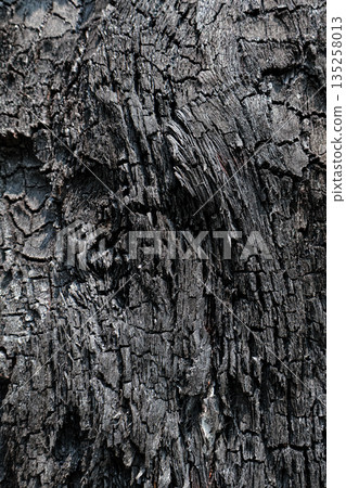 Charred Wood Texture Detailing Damage Aftermath for Abstract Background Use Charred Wood Texture Detailing Damage Aftermath for Abstract Background Use 135258013