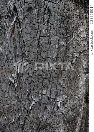 Detailed Black Burnt Wood Texture with Cracks and Charred Surface for Industrial Design and Backgrounds in Forestry 135258014
