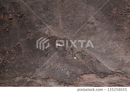 Abstract Dark Wood Texture Background Showing Natural Grain and Surface Detail for Use as a Graphic Design Element or Backdrop Abstract Dark Wood Texture Background Showing Natural Grain and Surface Detail for Use as a Graphic Design Element or Backdrop 135258035