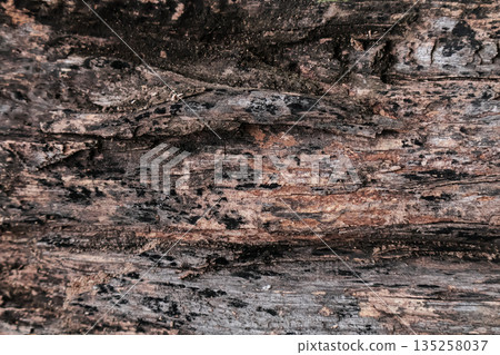 Detailed Old Wood Texture Background with Natural Grain and Cracked Surface for Rustic Design and Aged Appearance in Creative Projects 135258037