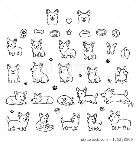 Vector illustration showcasing playful corgi poses and expressions, accompanied by paw prints, bones, and canine accessories. Perfect for pet-themed designs and projects. Vector illustration showcasing playful corgi poses and expressions, accompanied by paw prints, bones, and canine accessories. Perfect for pet-themed designs and projects. 135258509