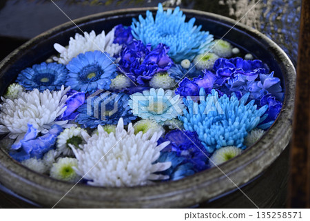 花水 花水 135258571