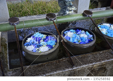 Hanatemizu 135258592