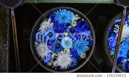 花水 花水 135258613