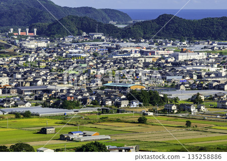 Tosa City, Kochi Prefecture 135258886