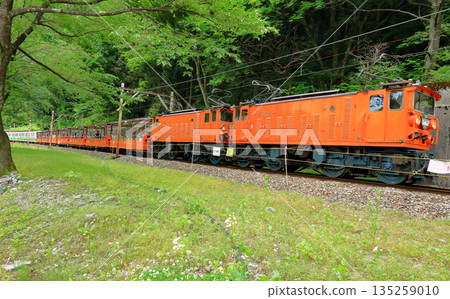 Kurobe Valley Truck Train 135259010
