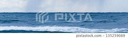 The rough Sea of Japan seen from the coast of Higashihama in Tottori, San'in region, in snowy winter 135259089