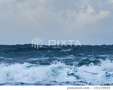 雪季期間，從鳥取縣山陰郡東濱海岸眺望波濤洶湧的日本海。 135259093