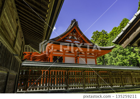 高知縣高知市土佐神社正殿 135259211