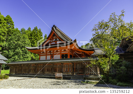 高知縣高知市土佐神社正殿 高知縣高知市土佐神社正殿 135259212