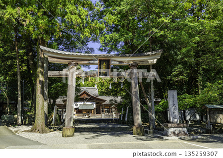 Tosa Shrine Torii Gate, Kochi City, Kochi Prefecture Tosa Shrine Torii Gate, Kochi City, Kochi Prefecture 135259307