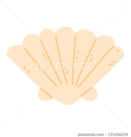 Illustration of Seashell Scallop Illustration of Seashell Scallop 135260230