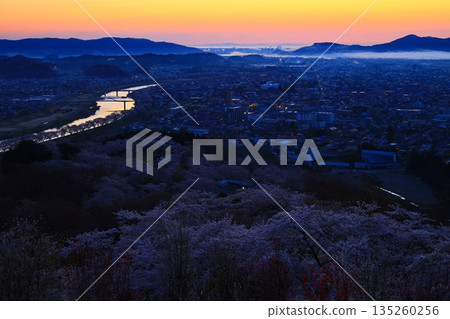 The city bathed in the morning sun and cherry blossoms in full bloom 135260256