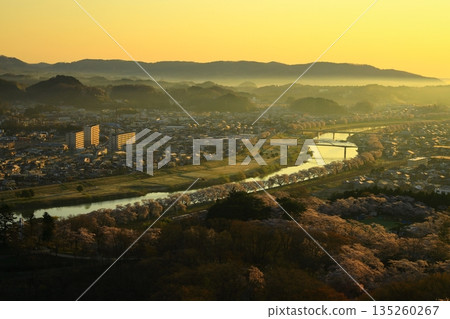 The city bathed in the morning sun and cherry blossoms in full bloom The city bathed in the morning sun and cherry blossoms in full bloom 135260267