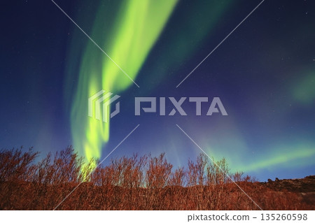 觀賞極光，觀賞極光，攝影，在夜晚，感受世界，極光神秘地傾瀉而下 135260598