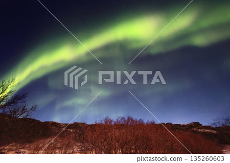 view of aurora 135260603