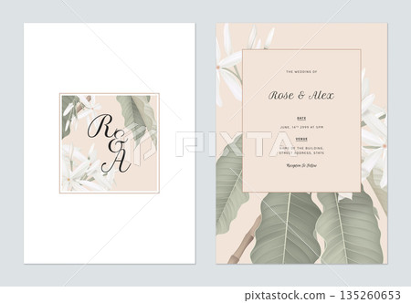 Floral wedding invitation card template design, Medicinal Kopsia flowers with leaves on white and brown 135260653