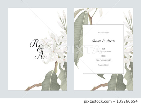 Floral wedding invitation card template design, Medicinal Kopsia flowers with leaves on white 135260654