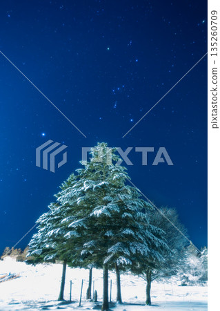 A starry sky shining above the frost-covered trees from the Kirigamine Plateau in winter A starry sky shining above the frost-covered trees from the Kirigamine Plateau in winter 135260709