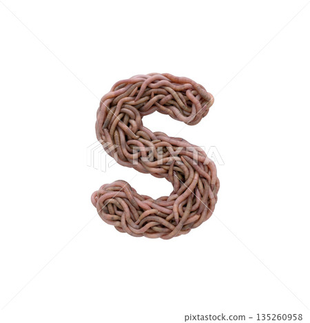 earthworm letter S - Lowercase 3d earthworm font - Suitable for gardening, compost or horror concept related subjects 135260958
