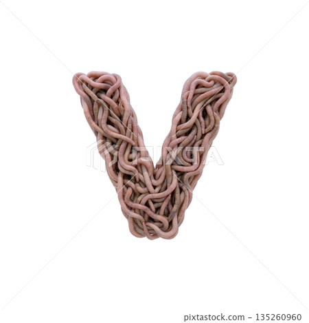 earthworm letter V - Small 3d earthworm font - Suitable for gardening, compost or horror concept related subjects 135260960