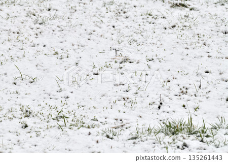 日本南部九州長崎的雪景 日本南部九州長崎的雪景 135261443