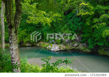 Tomegafuchi Tomegafuchi 135262069