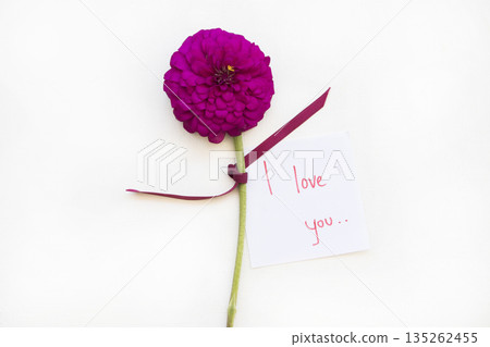 I love you message card handwriting with pink flowers zinnia elegan 135262455