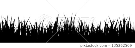 Meadow silhouette with grass, plants on plain. Panoramic summer lawn landscape with herbs, various weeds. Herbal border, frame element. Black horizontal banners. Vector illustration 135262509
