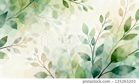 Watercolor botanical background: Soft pastel green plant wallpaper 135263203