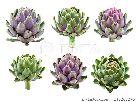 Set of Green artichoke with a purple base is isolated on a white background 135263270