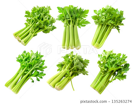 Set of green Pascal celery isolated on a white transparent background. Perfect for salads, various cooking methods, and healthy, nutritious dishe Set of green Pascal celery isolated on a white transparent background. Perfect for salads, various cooking methods, and healthy, nutritious dishe 135263274