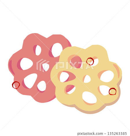 Two-colored pickled lotus root vector illustration 135263385