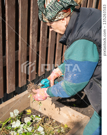 Woman using an electric hacksaw to cut roots by a wooden fence. Gardening work during spring season. Home yard spring cleanup. Woman using an electric hacksaw to cut roots by a wooden fence. Gardening work during spring season. Home yard spring cleanup. 135263583