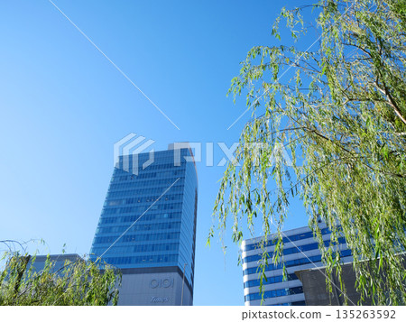 從西銀座街望去,綠樹成蔭,摩天大樓林立。 從西銀座街望去,綠樹成蔭,摩天大樓林立。 135263592