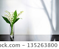 Light and shadow in a bright room with sunlight streaming in and lily of the valley flowers in a glass 135263800
