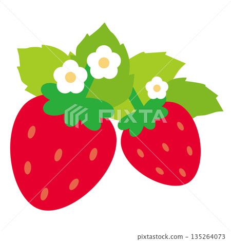 Simple and cute two red strawberries with leaves and white flowers vector illustration 135264073
