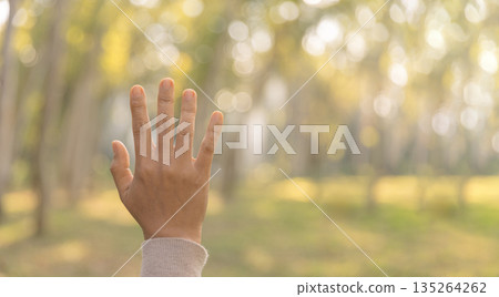 Raised open palm in worship and prayer, expressing faith in God. Soft sunlit bokeh in nature creates a peaceful spiritual background with copy space for church banners. 135264262