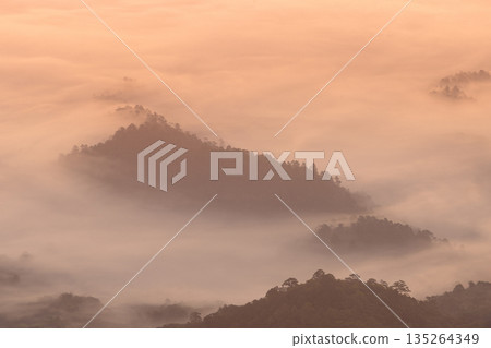 Peach sunrise over misty mountain ridges floating in a sea of fog, creating soft layered silhouettes and calm atmosphere. Minimal landscape background with copy space for travel, wellness. Peach sunrise over misty mountain ridges floating in a sea of fog, creating soft layered silhouettes and calm atmosphere. Minimal landscape background with copy space for travel, wellness. 135264349