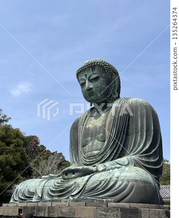 鎌倉的大佛 鎌倉的大佛 135264374