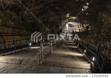 京都府京都市清水寺音羽山冬季景色，從正殿通往音羽瀑布的階梯 135264505