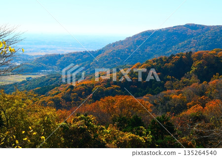 筑波在秋末 135264540