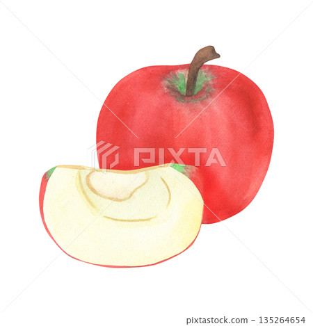Illustration of an apple and a slice, hand-drawn watercolor fruit. Ripe, realistic seasonal fruit. Illustration of an apple and a slice, hand-drawn watercolor fruit. Ripe, realistic seasonal fruit. 135264654