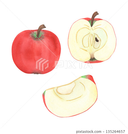 Illustration of an apple, slice and half, hand-drawn watercolor fruit. Ripe, realistic seasonal fruit. 135264657