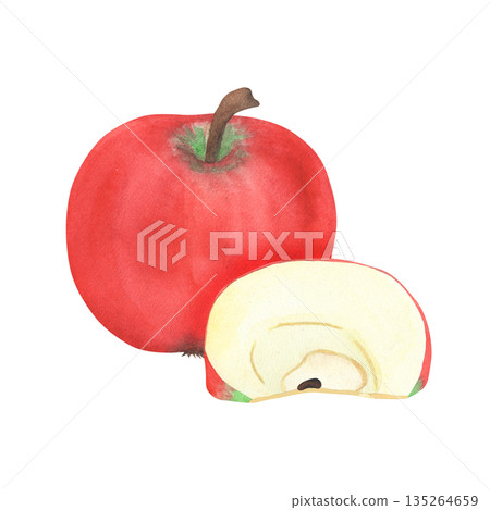 Illustration of an apple and a slice, hand-drawn watercolor fruit. Ripe, realistic seasonal fruit. 135264659