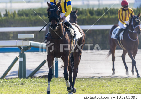 賽馬場景色：賽後馬匹，京都府京都市 135265095